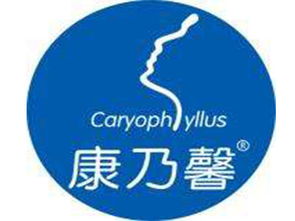 康乃馨产后恢复加盟投资解析 总投资14.8万元起，加盟费用详解与咨询指南