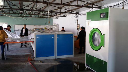 开办开水洗厂的盈利潜力与投资成本分析